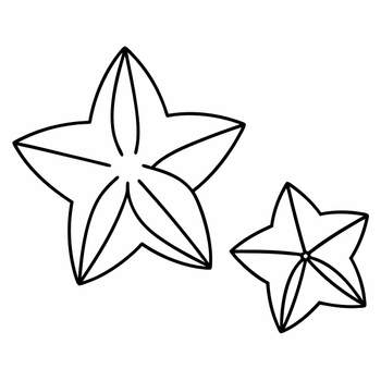 1 (4561).png
